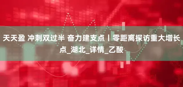 天天盈 冲刺双过半 奋力建支点丨零距离探访重大增长点_湖北_详情_乙酸