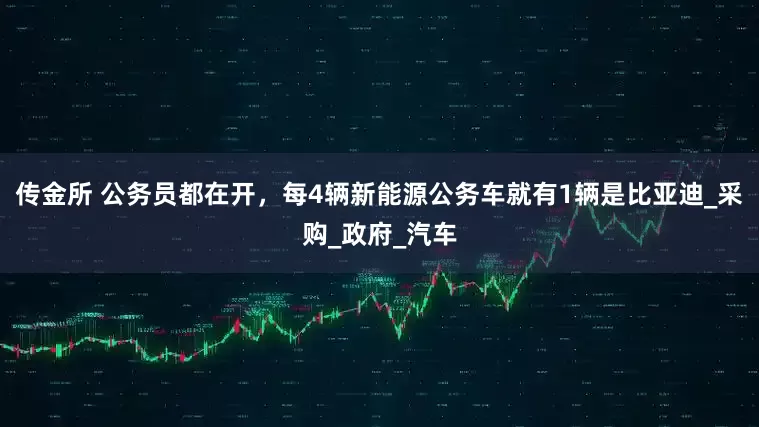 传金所 公务员都在开，每4辆新能源公务车就有1辆是比亚迪_采购_政府_汽车