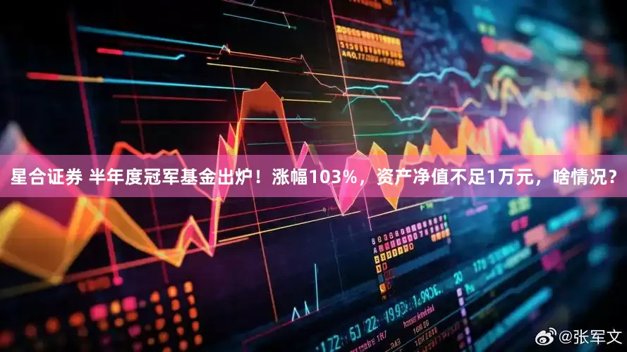星合证券 半年度冠军基金出炉！涨幅103%，资产净值不足1万元，啥情况？